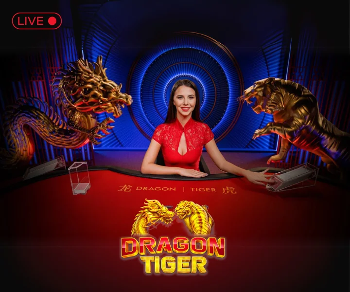 betting points dragon tiger