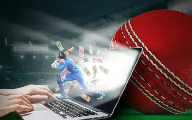 Cricket Match