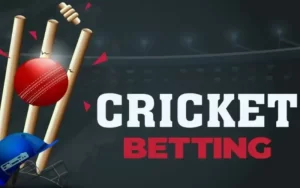 Cricket Match