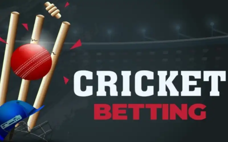 Cricket Match
